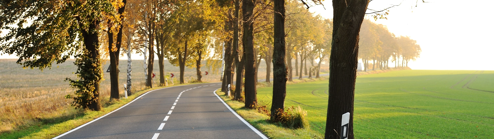 Panoramastraßen Deutschland - Straße mit grüner Landschaft und Bäumen links und rechts vom Fahrbahnrand